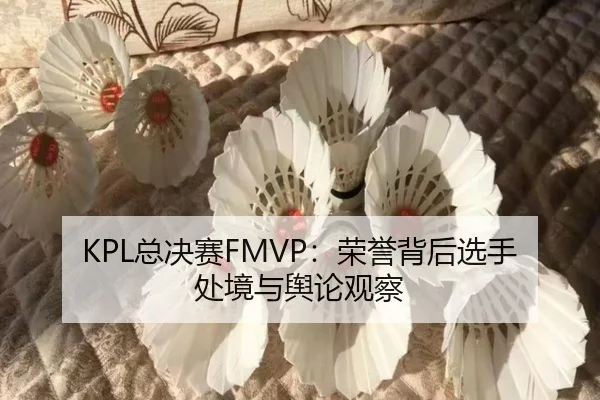 KPL总决赛FMVP：荣誉背后选手处境与舆论观察